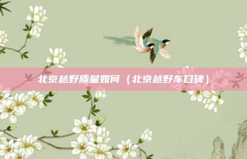 北京越野质量如何(北京越野车口碑)
