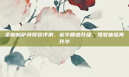 全新帕萨特领驭评测，豪华质感升级，驾驭体验再升华