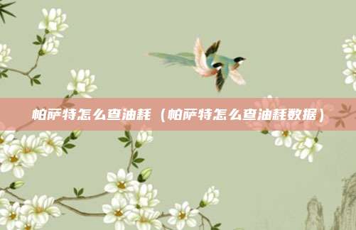帕萨特怎么查油耗（帕萨特怎么查油耗数据）