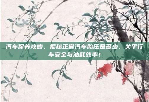 汽车保养攻略,揭秘正常汽车胎压是多少,关乎行车安全与油耗效率!