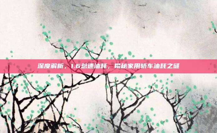 深度解析，1.6怠速油耗，揭秘家用轿车油耗之谜