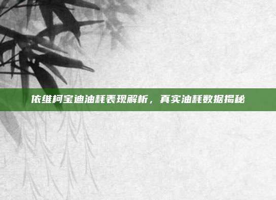 依维柯宝迪油耗表现解析，真实油耗数据揭秘
