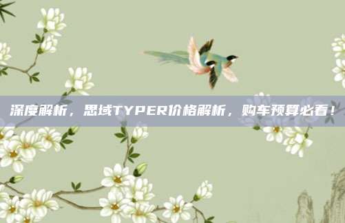 深度解析，思域TYPER价格解析，购车预算必看！