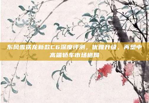 东风雪铁龙新款C6深度评测，优雅升级，再塑中高端轿车市场格局