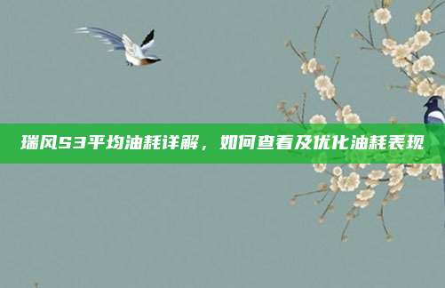 瑞风S3平均油耗详解，如何查看及优化油耗表现