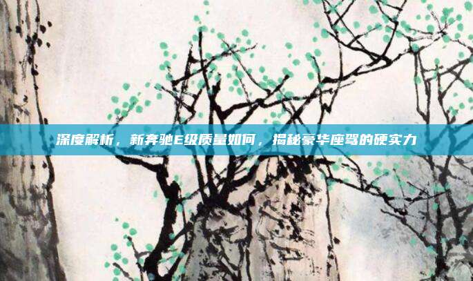 深度解析,新奔驰E级质量如何,揭秘豪华座驾的硬实力