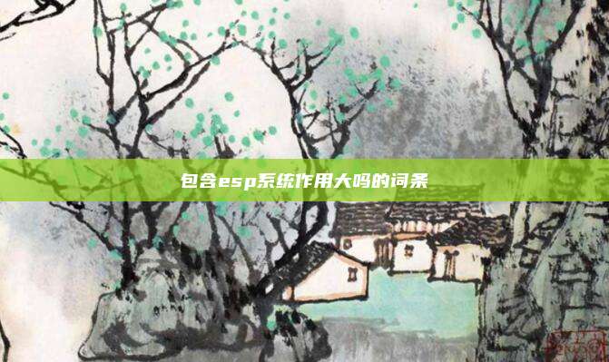 包含esp系统作用大吗的词条