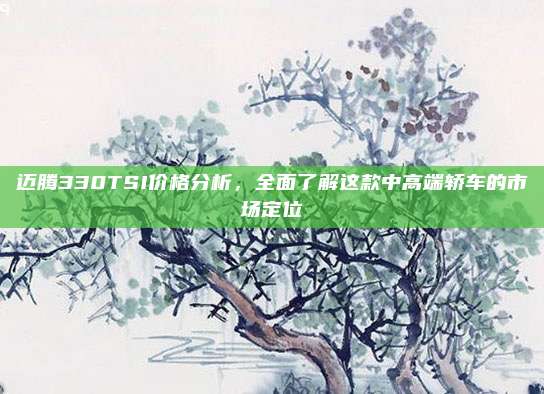 迈腾330TSI价格分析，全面了解这款中高端轿车的市场定位