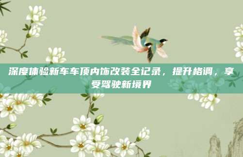 深度体验新车车顶内饰改装全记录，提升格调，享受驾驶新境界