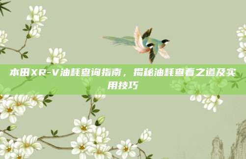 本田XR-V油耗查询指南，揭秘油耗查看之道及实用技巧