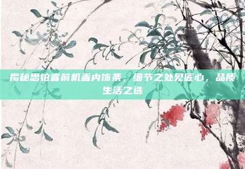 揭秘思铂睿前机盖内饰条，细节之处见匠心，品质生活之选
