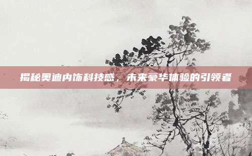 揭秘奥迪内饰科技感,未来豪华体验的引领者