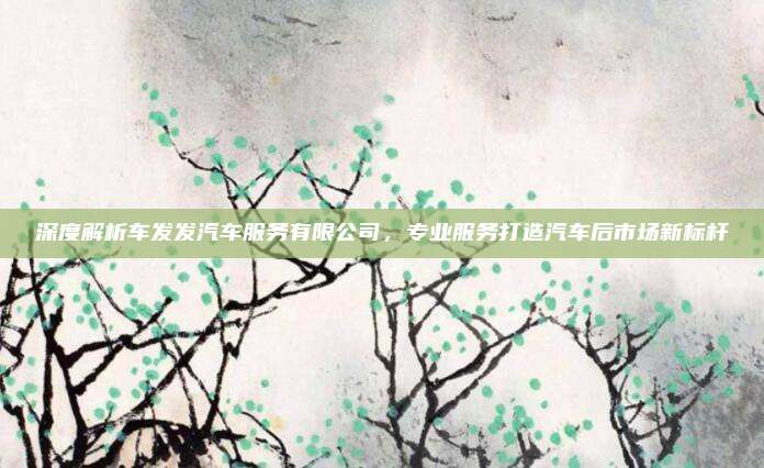 深度解析车发发汽车服务有限公司，专业服务打造汽车后市场新标杆