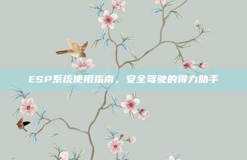 ESP系统使用指南，安全驾驶的得力助手