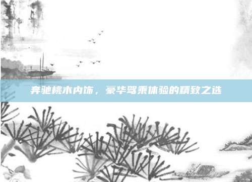 奔驰桃木内饰，豪华驾乘体验的精致之选