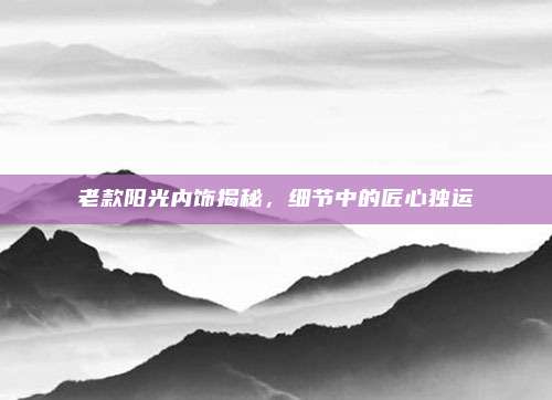 老款阳光内饰揭秘，细节中的匠心独运