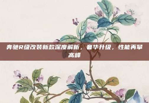 奔驰R级改装新款深度解析，奢华升级，性能再攀高峰
