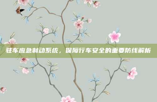 驻车应急制动系统，保障行车安全的重要防线解析