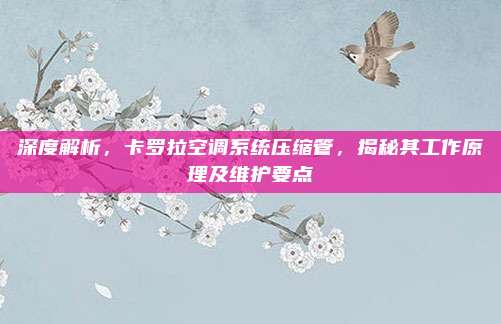 深度解析，卡罗拉空调系统压缩管，揭秘其工作原理及维护要点