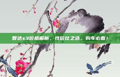 智达x3价格解析，性价比之选，购车必看！