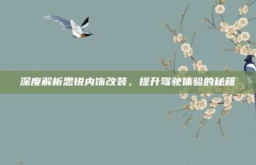 深度解析思锐内饰改装，提升驾驶体验的秘籍