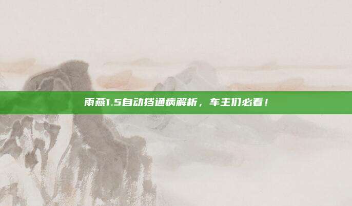 雨燕1.5自动挡通病解析，车主们必看！