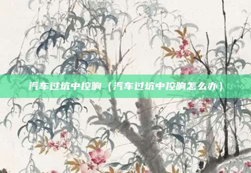 汽车过坑中控响（汽车过坑中控响怎么办）