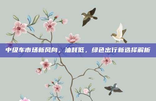 中级车市场新风向，油耗低，绿色出行新选择解析