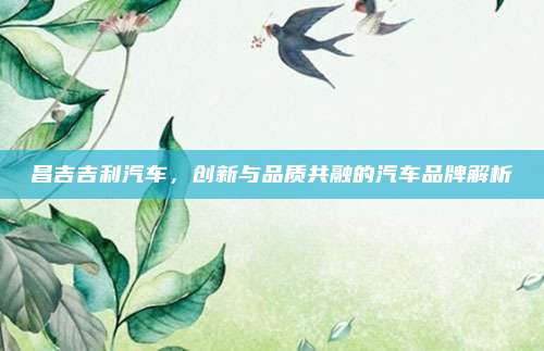 昌吉吉利汽车，创新与品质共融的汽车品牌解析