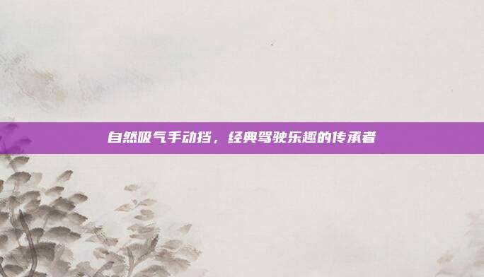 自然吸气手动挡，经典驾驶乐趣的传承者