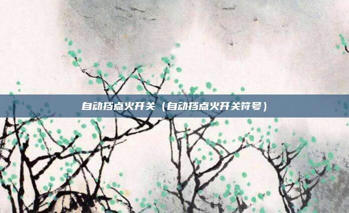 自动挡点火开关（自动挡点火开关符号）