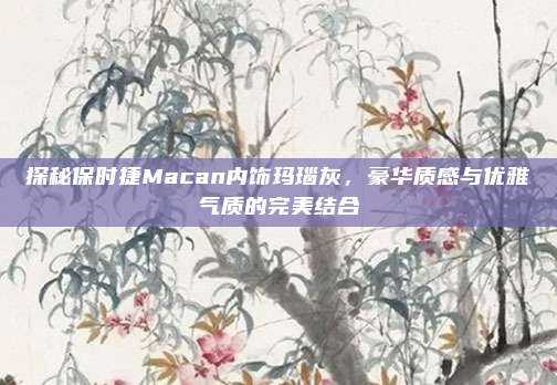 探秘保时捷Macan内饰玛瑙灰，豪华质感与优雅气质的完美结合