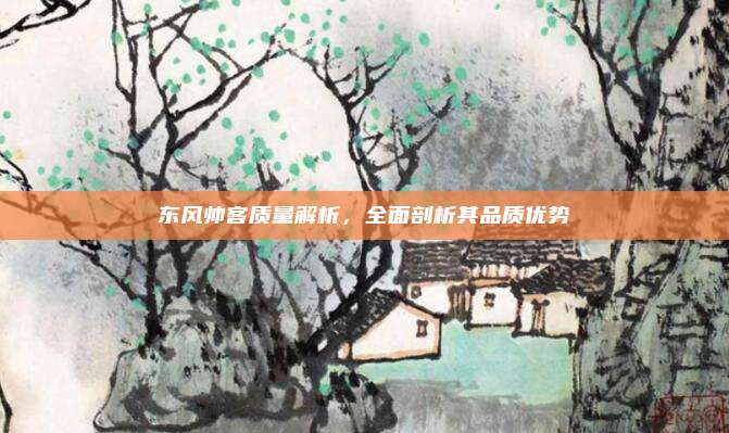 东风帅客质量解析，全面剖析其品质优势
