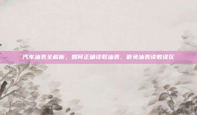 汽车油表全解析，如何正确读取油表，避免油表读数误区