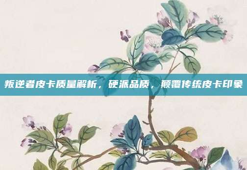 叛逆者皮卡质量解析，硬派品质，颠覆传统皮卡印象