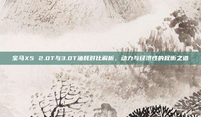 宝马X5 2.0T与3.0T油耗对比解析,动力与经济性的权衡之道