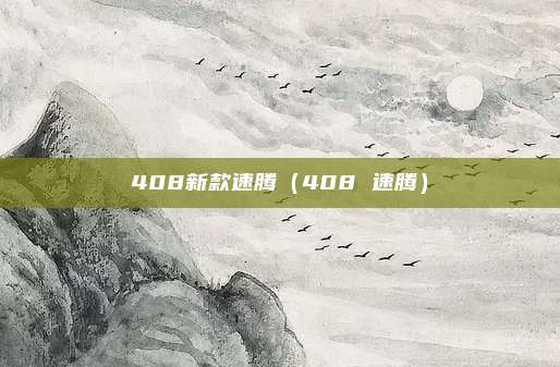 408新款速腾（408 速腾）