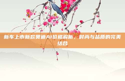 新车上市新款奥迪A1价格解析，时尚与品质的完美结合