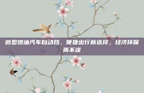 微型燃油汽车自动挡，便捷出行新选择，经济环保两不误