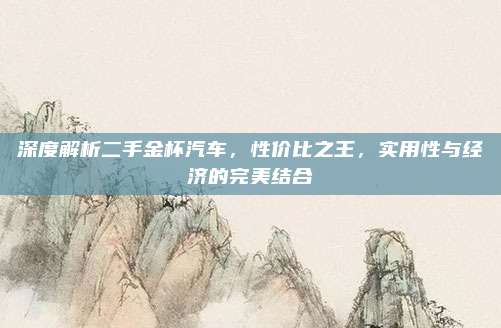 深度解析二手金杯汽车，性价比之王，实用性与经济的完美结合
