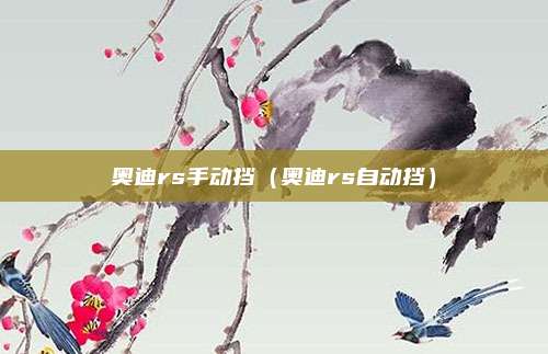 奥迪rs手动挡（奥迪rs自动挡）