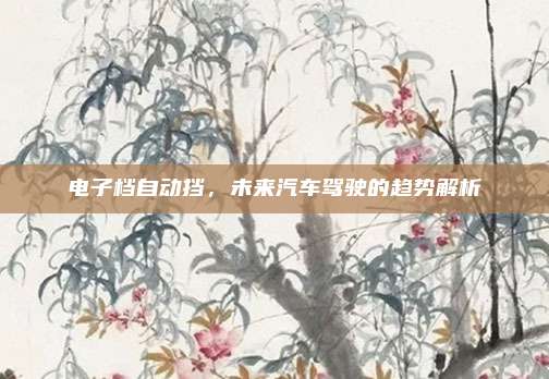 电子档自动挡，未来汽车驾驶的趋势解析