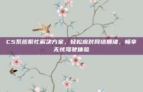 C5系统繁忙解决方案，轻松应对网络拥堵，畅享无忧驾驶体验