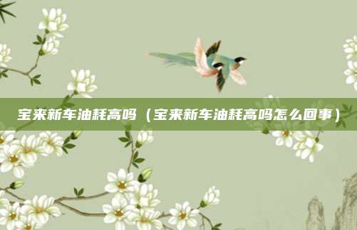 宝来新车油耗高吗（宝来新车油耗高吗怎么回事）
