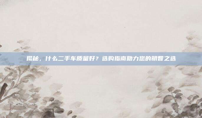 揭秘，什么二手车质量好？选购指南助力您的明智之选