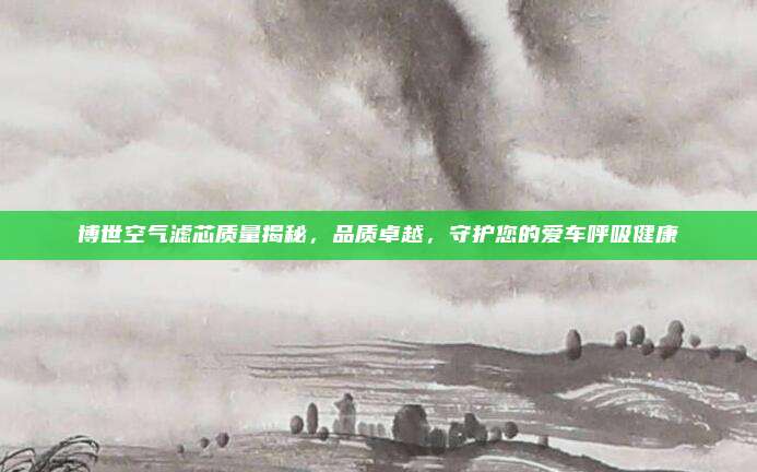 博世空气滤芯质量揭秘，品质卓越，守护您的爱车呼吸健康