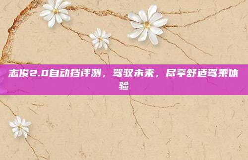 志俊2.0自动挡评测，驾驭未来，尽享舒适驾乘体验