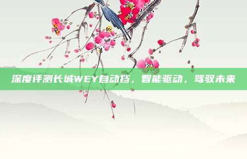 深度评测长城WEY自动挡，智能驱动，驾驭未来