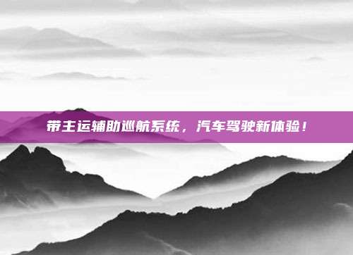 带主运辅助巡航系统，汽车驾驶新体验！