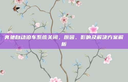 奔驰自动泊车系统关闭,原因、影响及解决方案解析